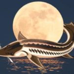 August's Full Moon Celebration