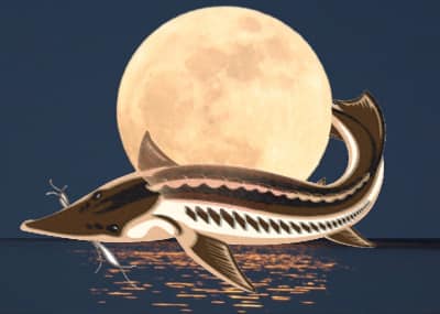 Full moon with fish image