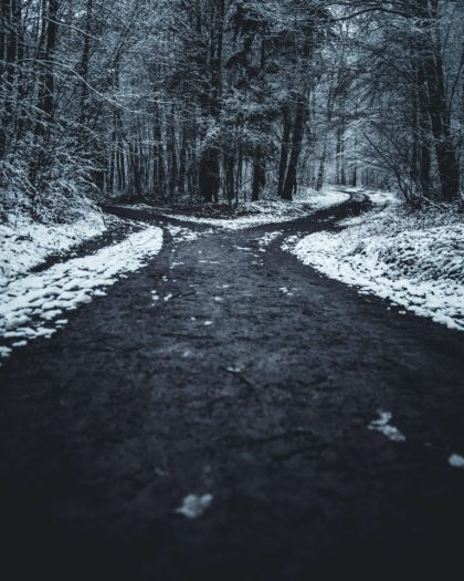 fork in the road in a snowy forest