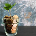 coins in a planter with a plant growing out of it