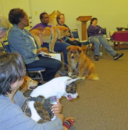 Blessing of the Animals