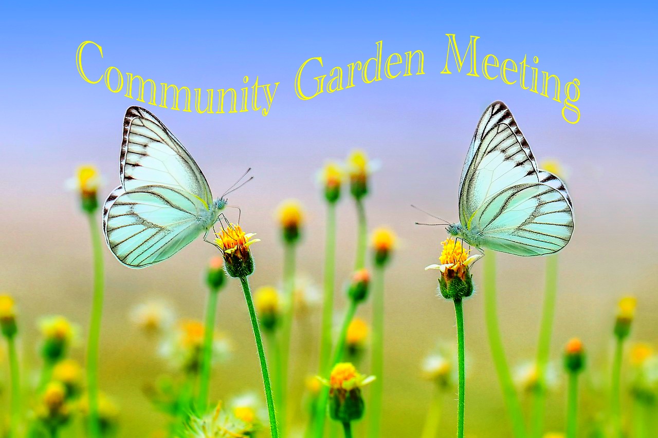 UUJXN Community Garden Zoom Meeting