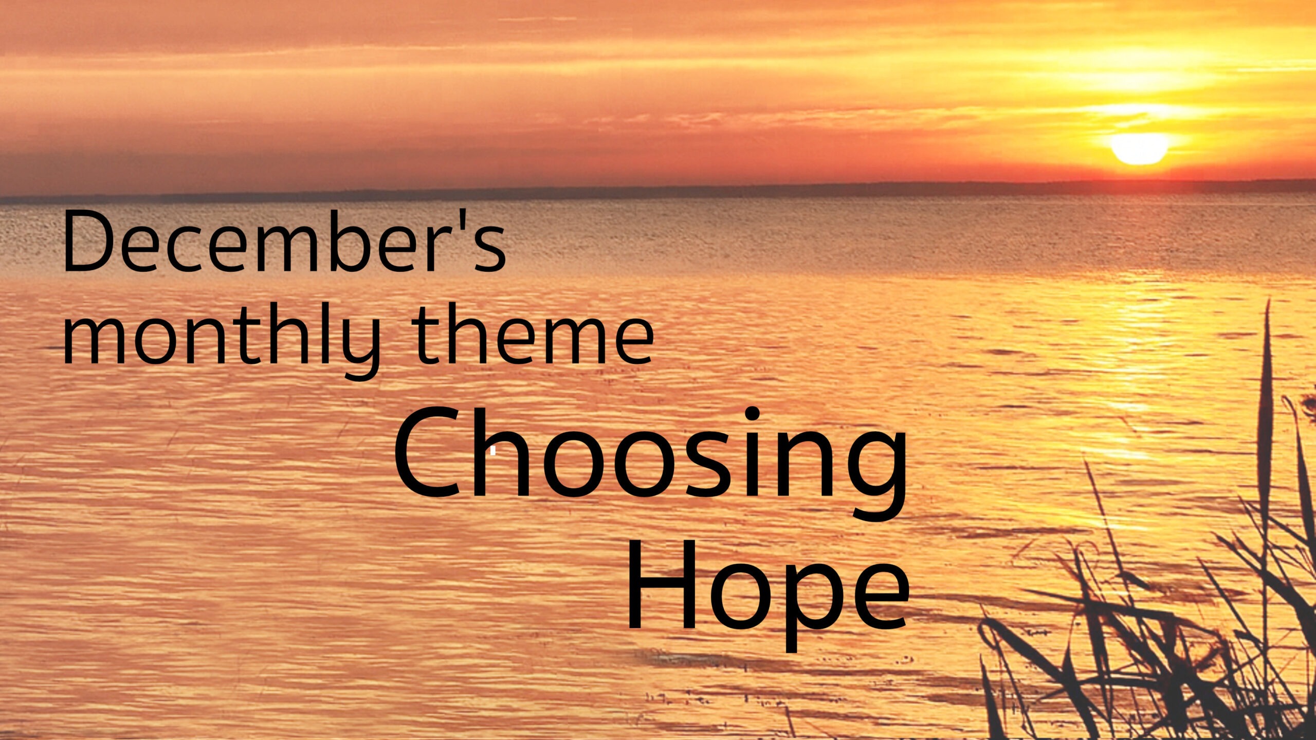 sm_2025-12-31 web theme