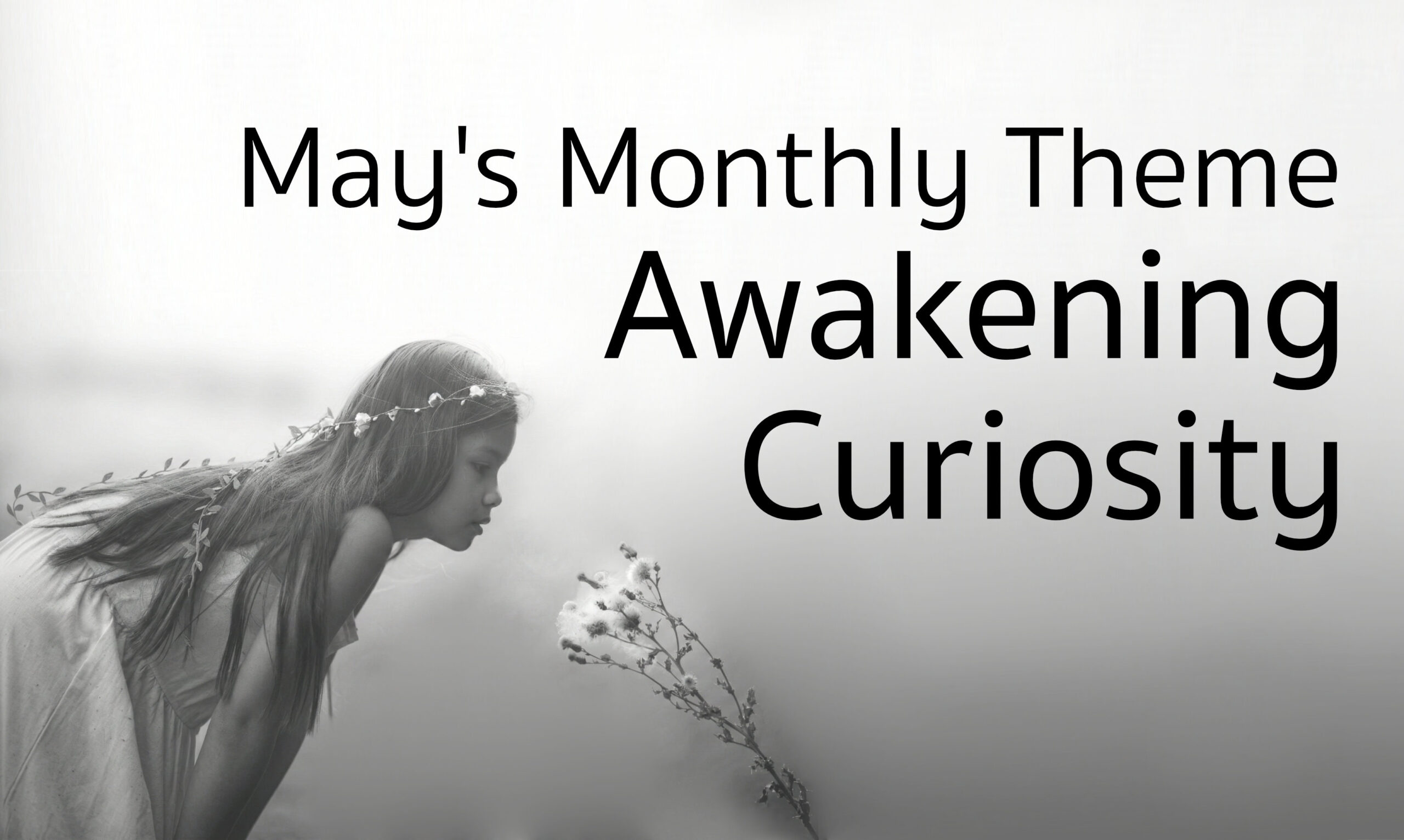 A young girl with a garland of flowers in her long dark straight hair and wearing a sun dress leaning over to examine a cluster of wildflowers. Text reads May's Monthly Theme: Awakening Curiosity